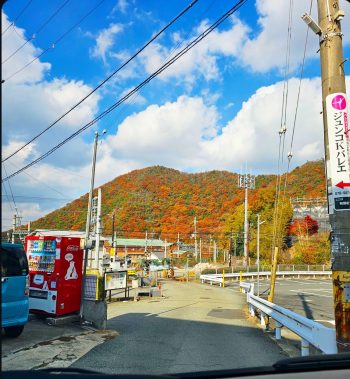 京都府宇治市で屋根修理